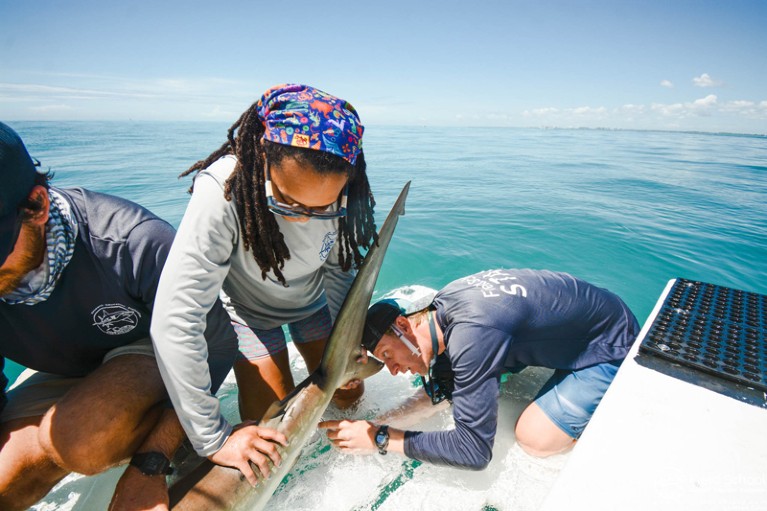 Jaida Elcock and colleagues handle the tail of a shark whilst on a boat on blue open ocean