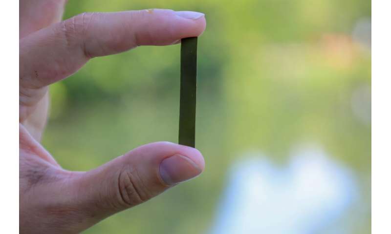 From pond to polymer: Algae power next generation plastics