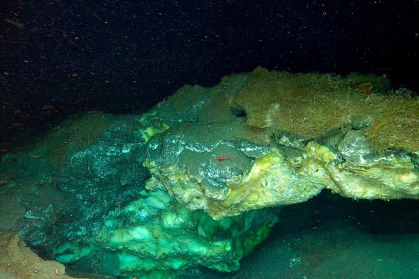 ROV image of a partially collapsed gas hydrate mound in the Molloy Deep (Freya mounds)
