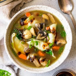 Potsticker Soup